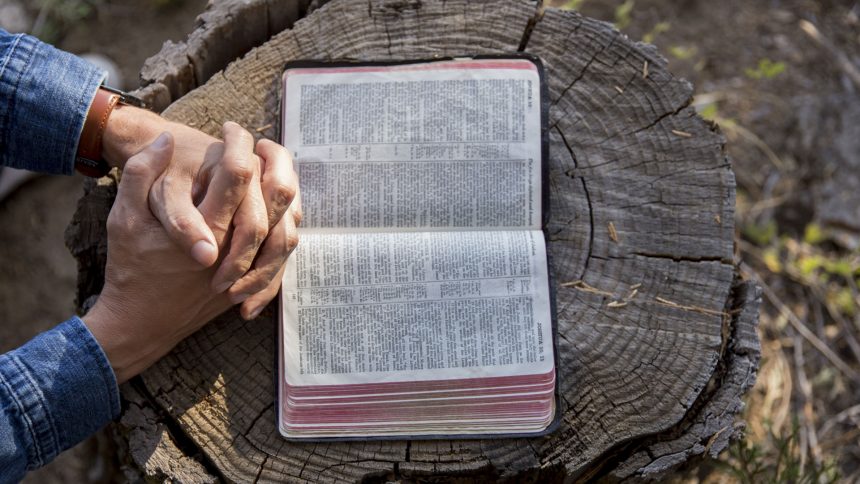 Praying over a Bible on a stump